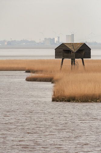 Waar natuur en steden elkaar ontmoeten