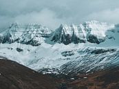 Besneeuwde IJslandse bergen van Marjon Boerman thumbnail