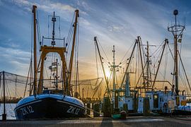 Nationaal Park Lauwersmeer van Johan Mooibroek