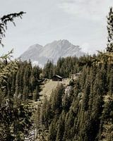 Zwitserland 17
