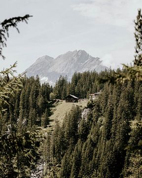 Zwitserland 17