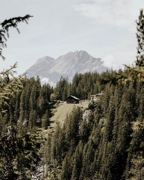 Schweiz 17 von Sanne van Es