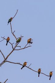 Zeit zum Schlafengehen von TCWILDIMAGES