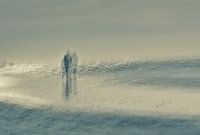 Côte à côte, le rivage que nous foulons - I