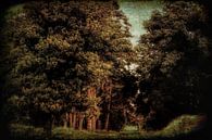 het donkere bos van Yvonne Blokland thumbnail