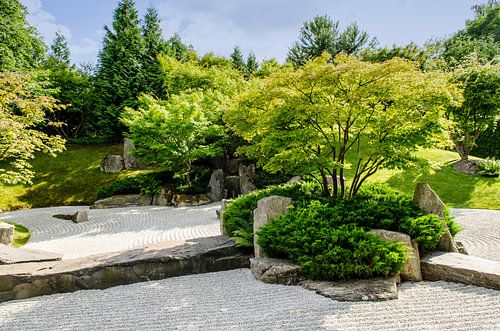 traditional japanese zen garden with trees in the background
