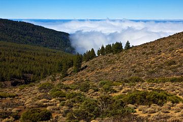Rising fog in the Teide National Park by Anja B. Schäfer