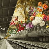 Platform 4