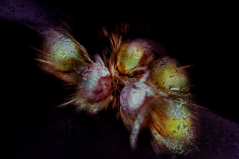 Concept easter : Modus paschae von Photoart-Naegele