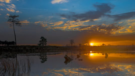 Goldene Sonnenuntergangsreflexion auf dem Moorland Lake in der Abenddämmerung von Johannes Jongsma