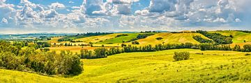 Panorama uit Toscane landschap in Italië van eric van der eijk