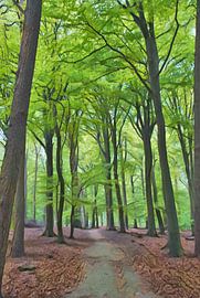 Ein Waldweg zum Licht von Jurjen Jan Snikkenburg