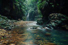 Randonnée en forêt