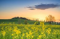 Zonsopkomst boven de heuvels in Toscane met een Toscaanse villa op de achtergrond en mooie gele bloe van Bas Meelker thumbnail