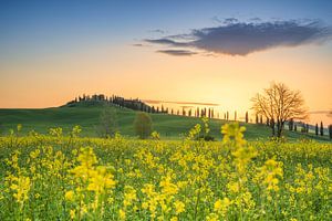 Zonsopkomst boven de heuvels in Toscane met een Toscaanse villa op de achtergrond en mooie gele bloe van Bas Meelker