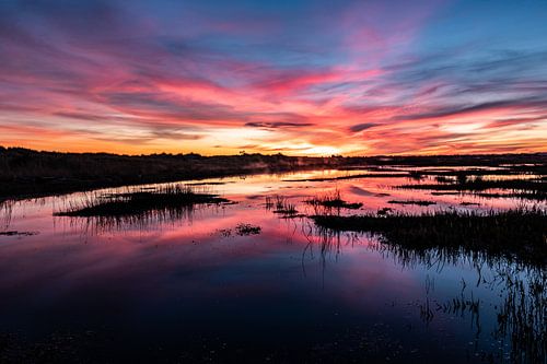 Perfekte Reflexion von Marjolein van Roosmalen