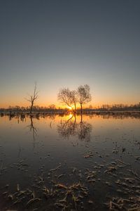 Sonnenaufgang am See