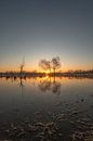 Zonsopkomst bij meer van Moetwil en van Dijk - Fotografie thumbnail