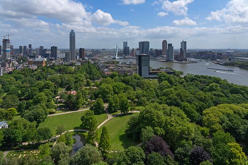 Rotterdam vanaf de Euromast