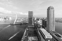 High up in the sky