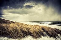 Island Storm