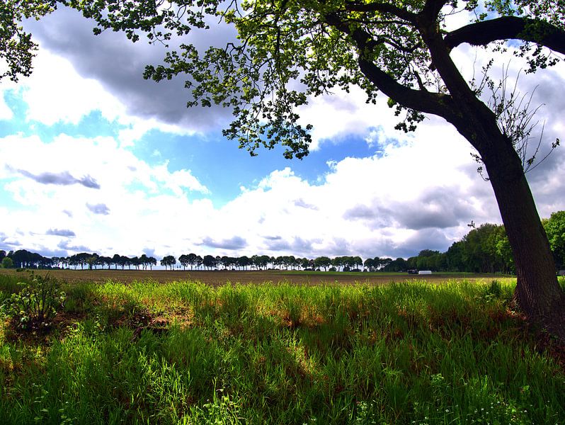 Vierhöfeweg 9 van Edgar Schermaul