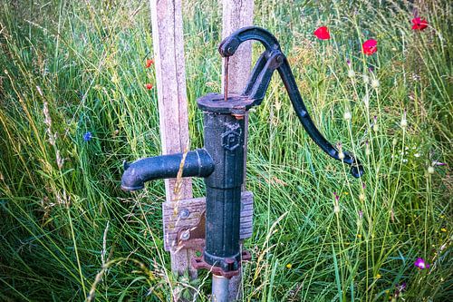 Old weathered cast iron water pump among field flowers