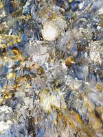 Goldrush