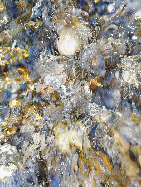 Ruée vers l'or par Angelo Cerantola