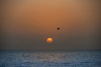 Sunset in Senegal