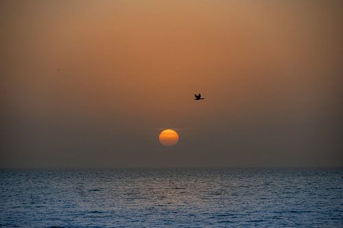 Sonnenuntergang im Senegal