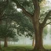 Oak Frame by Ellen Borggreve