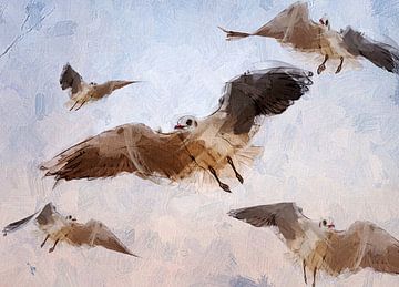 Seagulls by Kay Weber