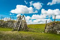 Dartmoor by rosstek ® thumbnail