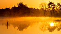 Matin doré par Joep de Groot Aperçu