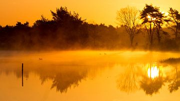 Goldener Morgen von Joep de Groot