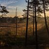 Nevel in het landschap van Peter Dane