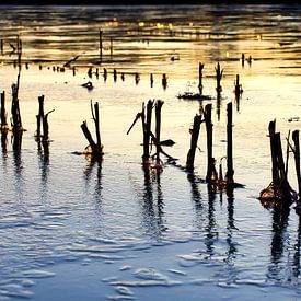 Eisfläche von Andreas Biwersi