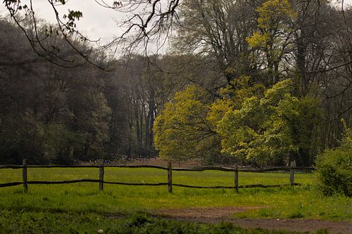 Frühling in der Stille
