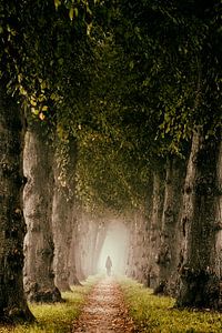 Der Weg des Einsiedlers