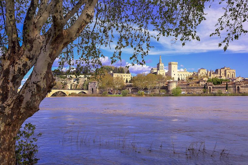Avignon au printemps par Patrick Lohmüller