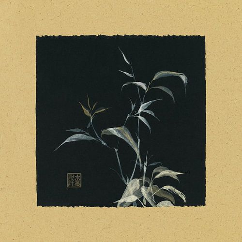 Bamboo I, Chris Paschke