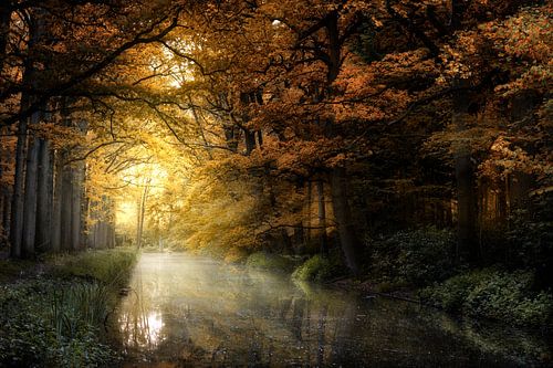 Living In Another World