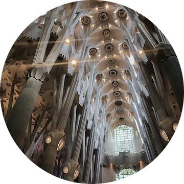 Sagrada Familia | Kerk | Barcelona | Spanje van Nicole Van Stokkum