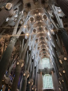Sagrada Familia | Église | Barcelone | Espagne sur Nicole Van Stokkum