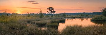 Panorama en zonsopkomst in het Nationale Park Dwingelderveld van Henk Meijer Photography