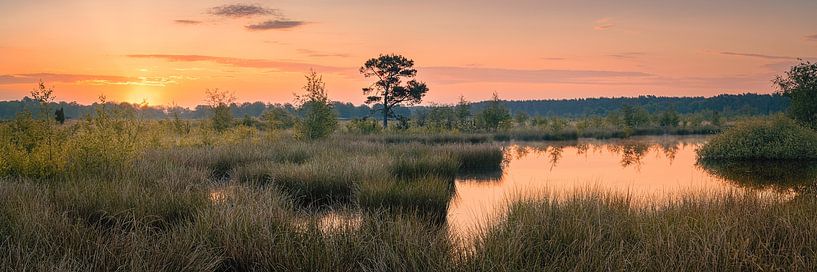 Panorama and sunrise in Dwingelderveld National Park by Henk Meijer Photography