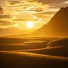 Der goldene Sand am Strand von Vestrahorn von Gerry van Roosmalen