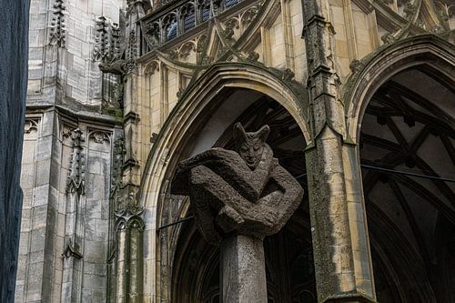 mariken van nieumehen