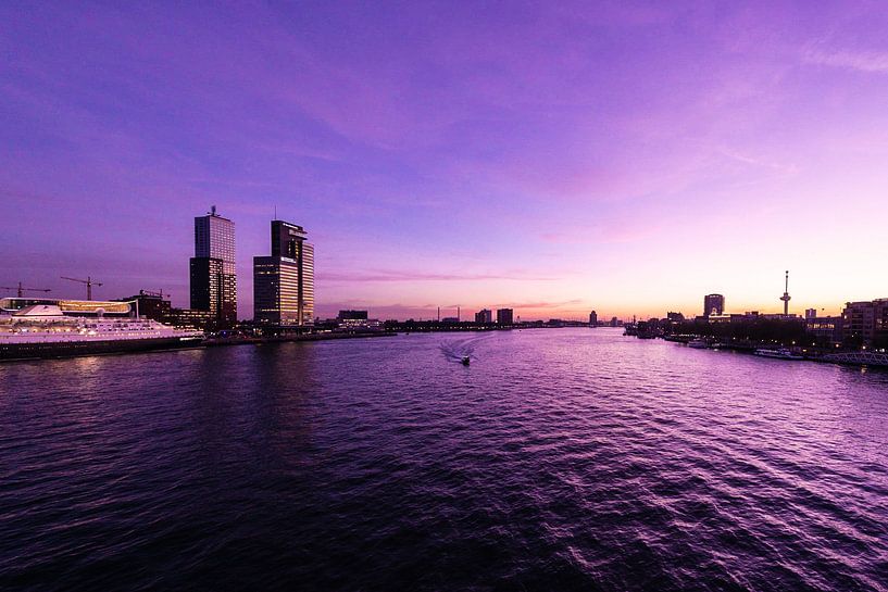 Rotterdam by Brian Morgan